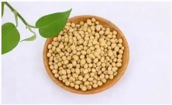 Carne de proteína texturizada nutritiva que processa proteína de soja isolada